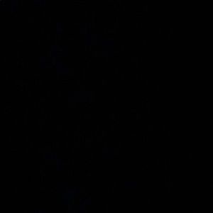 Meet your Posher, Maggie